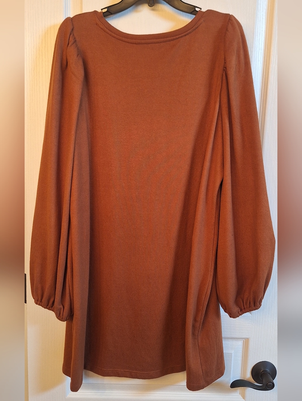 A new day Rust-Colored Long Sleeve Shift Dress with Puff Sleeves - Picture 2 of 4